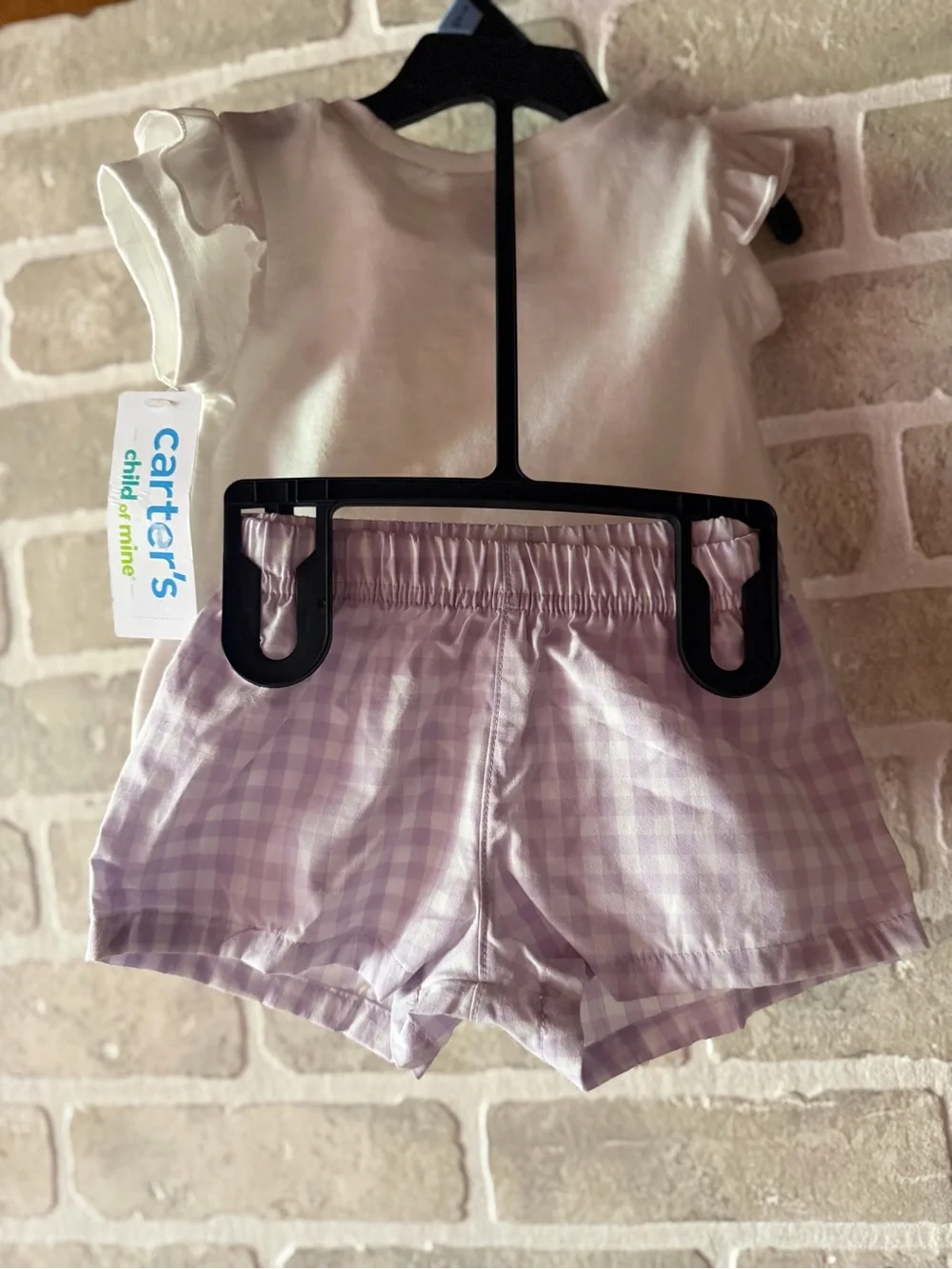 Carter's White Tee with Pastel Bunny Graphic & Lavender Gingham Shorts